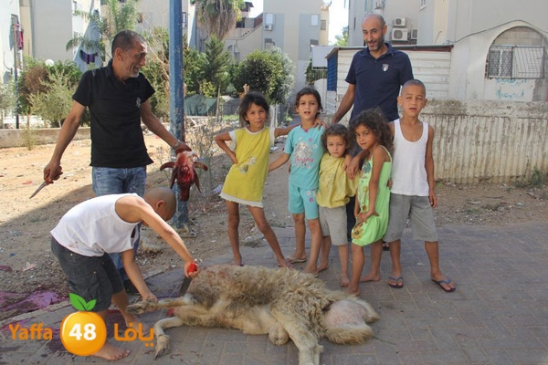 dabe7 ludj31 (38).JPG